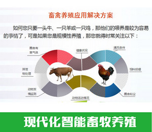 畜禽养殖智能管理系统