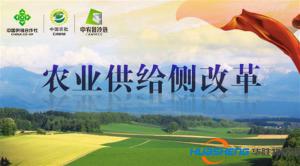 中农批冷链携手庄河打造农业供给侧改革示范县