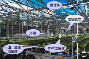 互联网+农业” 服务为民是关键