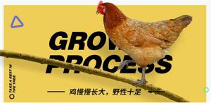 京东这家互联网公司，想要怎样去改变农业？