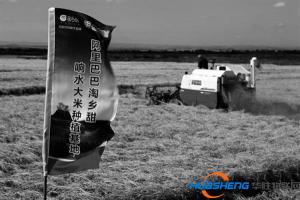 阿里巴巴揭示农村电商发展密码 培育乡村互联网意识