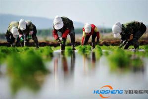 “播种”万亿农服市场： 互联网如何改造农业生产？