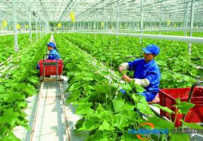 农业监测预警迈入大数据新时代