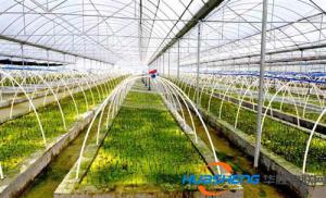 江苏吴江依靠科技发展现代农业