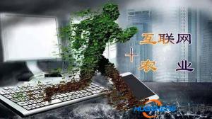以“互联网+”农业推进乡村振兴