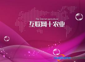 互联网+农业创业，应该这样玩儿