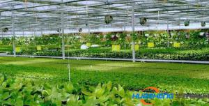 福建2017年省级农业物联网示范点名单，有你家乡的吗？