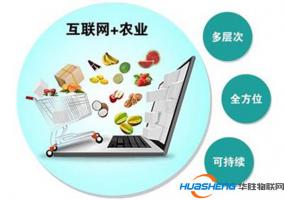 “互联网+三农”让农村更像农村 帮村民走上现代农业创业道路