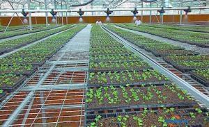要鼓励引导民间资本投资节水农业