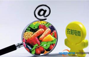 苏宁签约农业部 力推“农业互联网 + ”