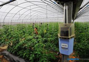 新疆首个县级智慧农业物联网平台落户乌苏