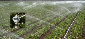 “节水节肥，智慧灌溉”智能水肥一体机成为现代农业一大“福星”